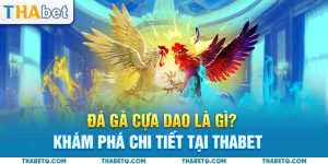 đá gà cựa dao avt