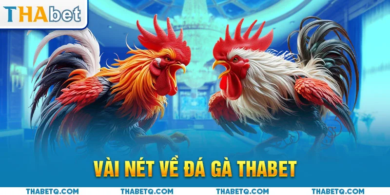 đá gà thabet tổng quan