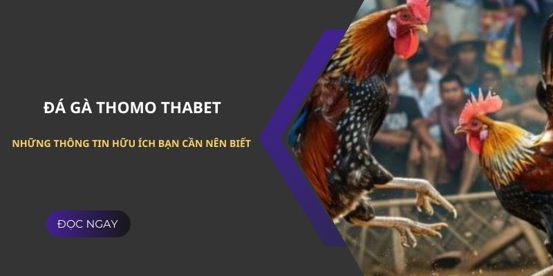 đá gà thomo khái niệm