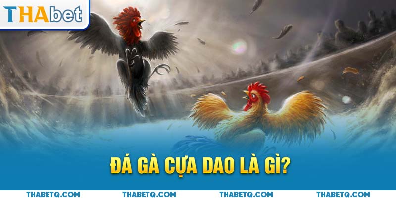 khái niệm đá gà cựa dao